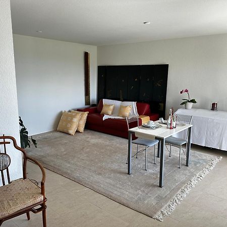 Lakeview Apartment-Lavaux Grandvaux ภายนอก รูปภาพ